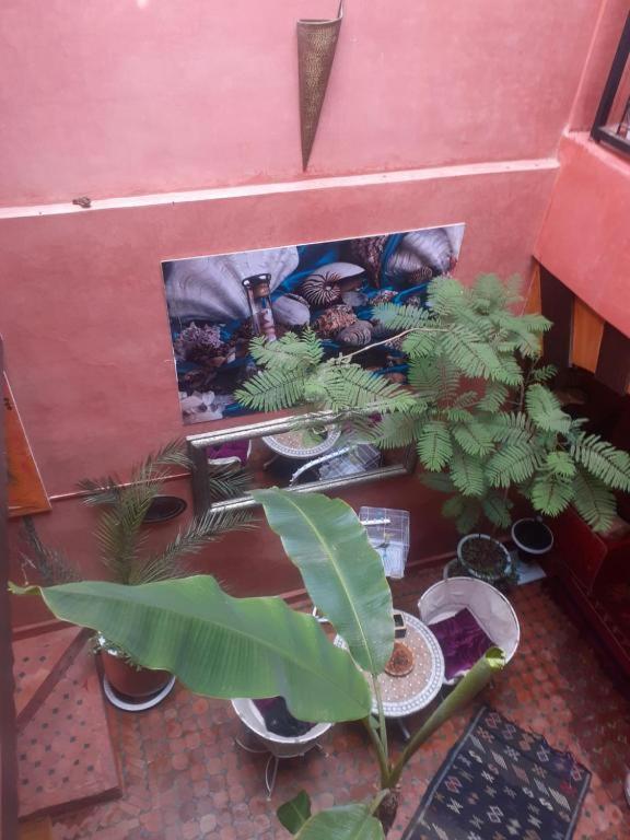 Riad Hanafi Marrakesch Exterior foto